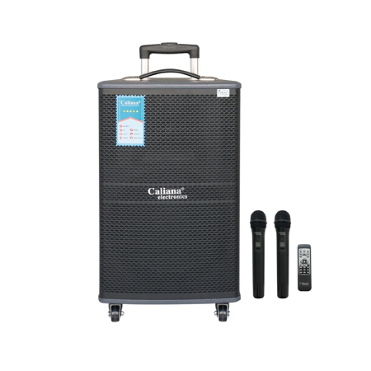 LOA KÉO DI ĐỘNG CALIANA WD-12A