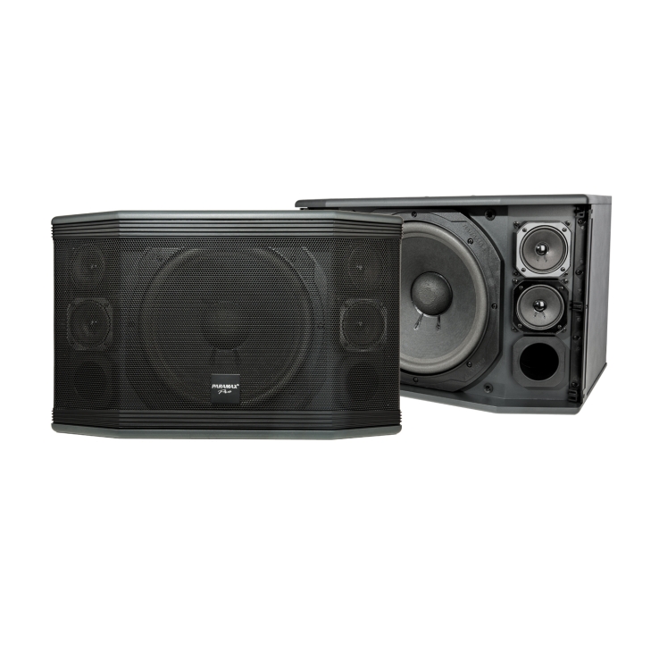 LOA PARAMAX PRO  C-12