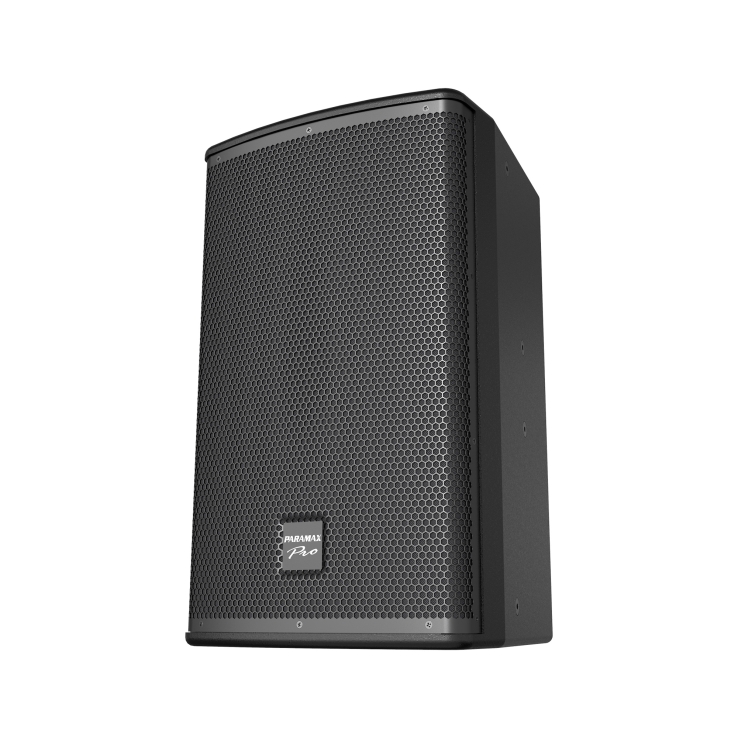 Loa full-range PARAMAX PRO-V30
