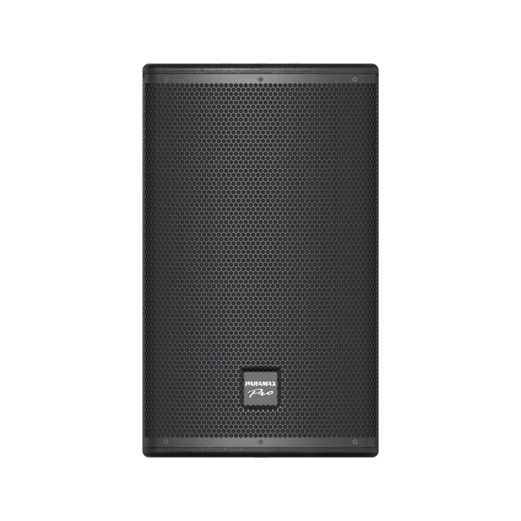 Loa full-range PARAMAX PRO-V30