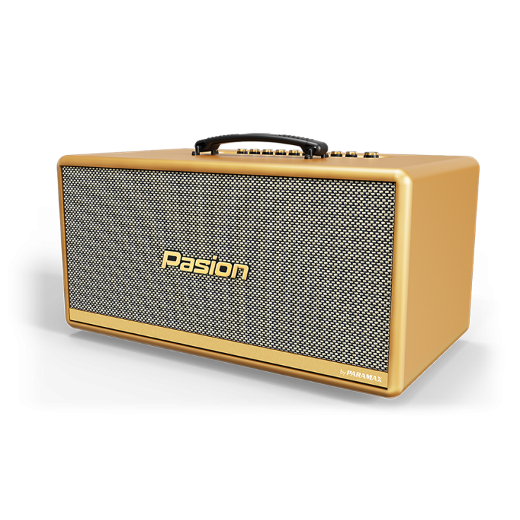 LOA  DI ĐỘNG PASION 2C