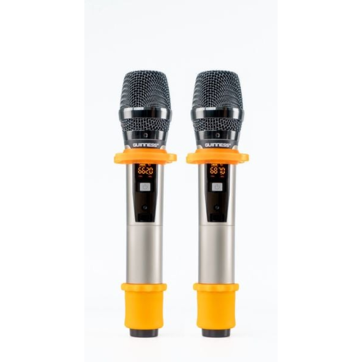 Loa xách tay di động GUINNESS GX -315