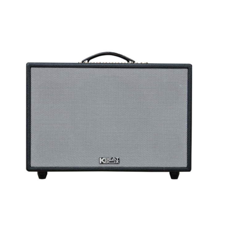 Loa Di Động ACNOS CS3600
