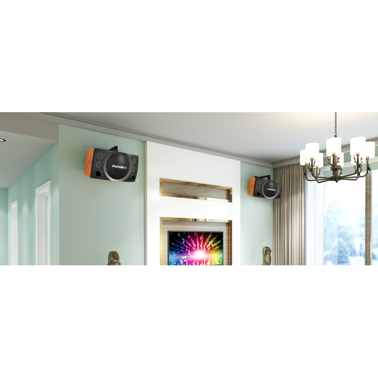 Loa PARAMAX PLATINUM SC3500