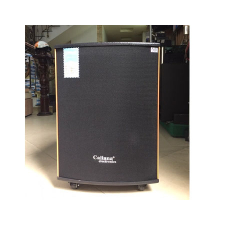 LOA KÉO DI ĐỘNG CALIANA WD15B