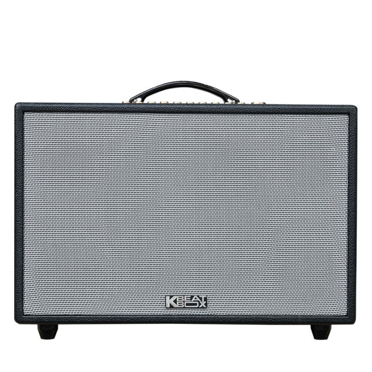 Loa Di Động ACNOS HiNet3600