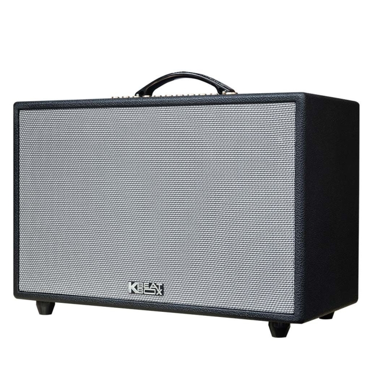Loa Di Động ACNOS HiNet3600