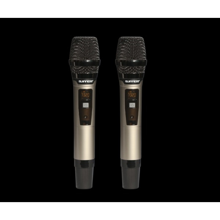 Loa GUINNESS GX - 305