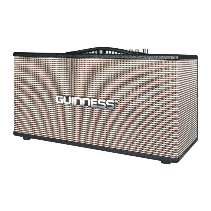 Loa GUINNESS GX - 305