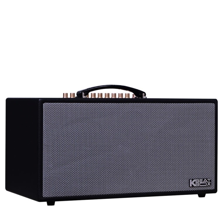 Loa Di Động ACNOS CS450Alpha Chính Hãng