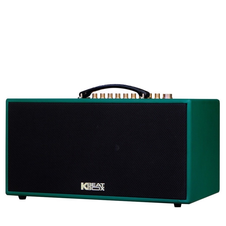 Dàn Âm Thanh Di Động ACNOS CS445D Chính Hãng