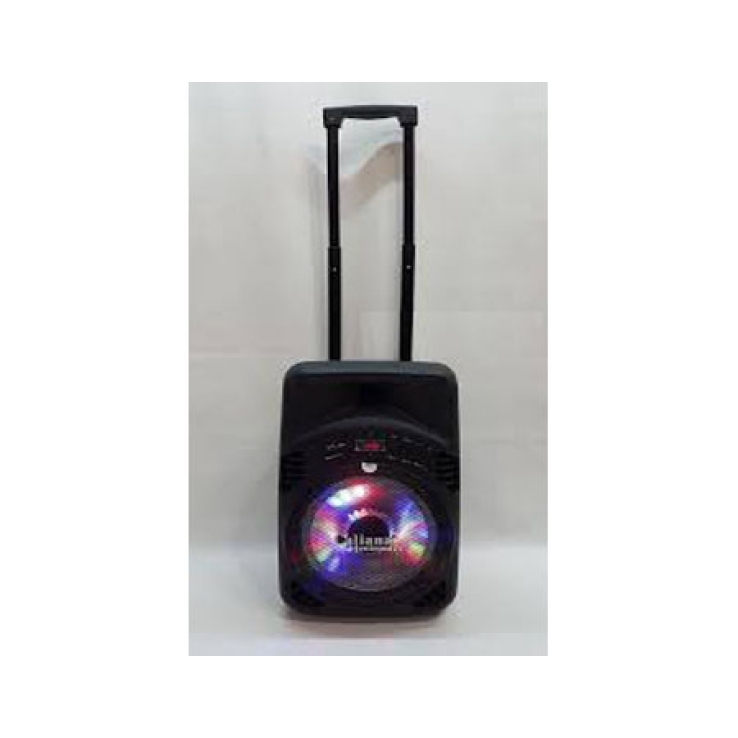LOA KÉO DI ĐỘNG CALIANA TX-08
