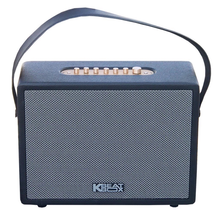Loa Di Động Xách Tay Cao Cấp ACNOS CS270