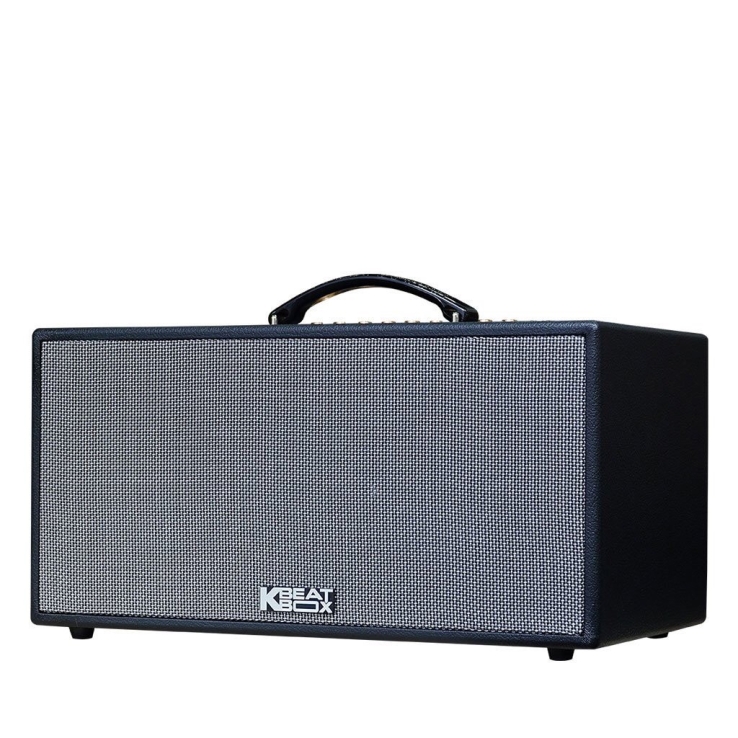 Loa Di Động ACNOS CS448