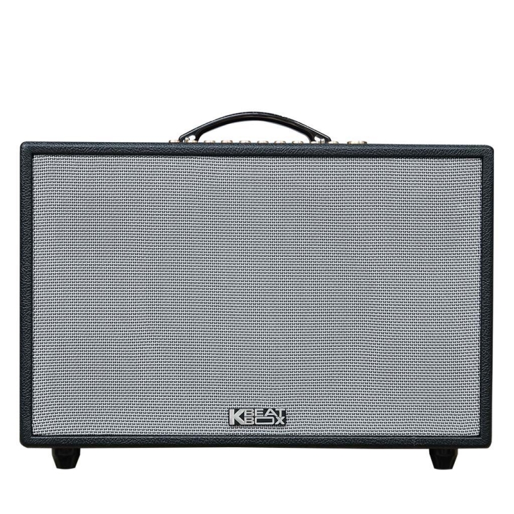 Loa Di Động ACNOS CS3600