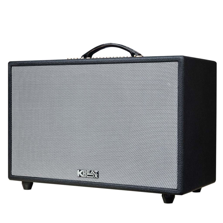 Loa Di Động ACNOS CS3600