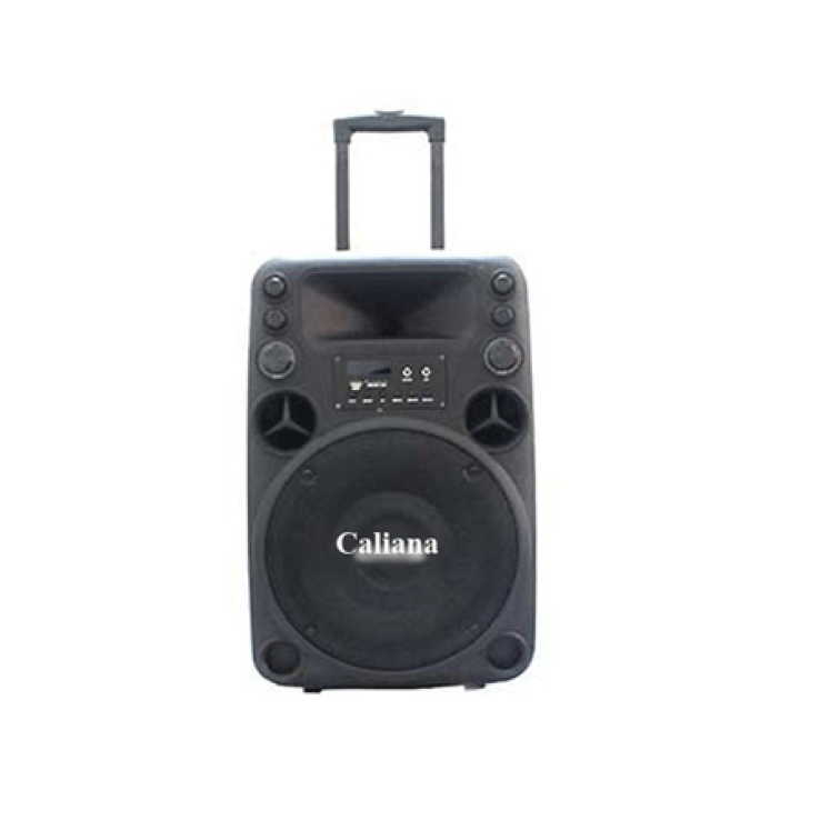 LOA KÉO DI ĐỘNG CALIANA TO-12