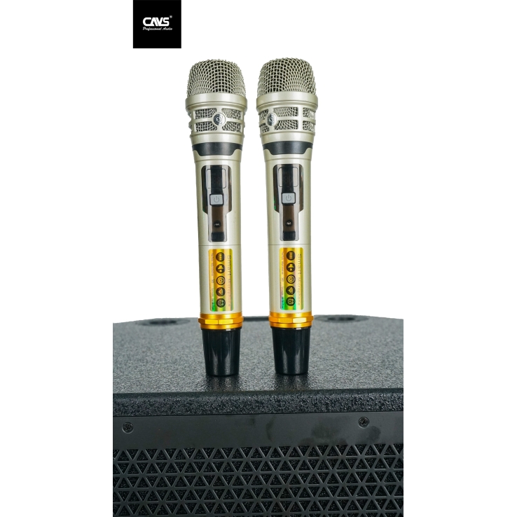 Loa kéo CAVS PA15 Bass 40