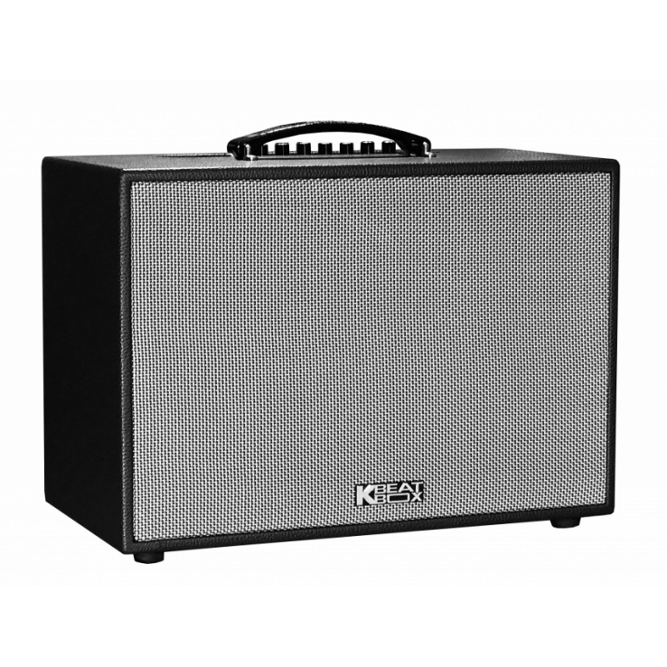 Loa Karaoke mini xách tay ACNOS CS200PU