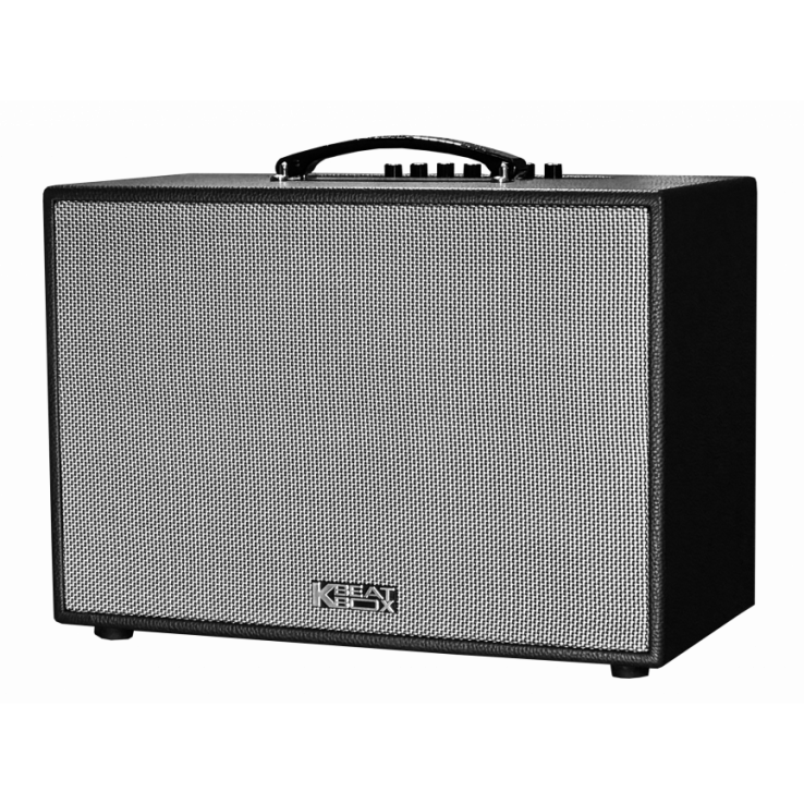 Loa Karaoke mini xách tay ACNOS CS200PU