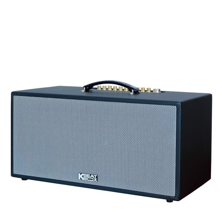 Loa Di Động ACNOS CS451Plus