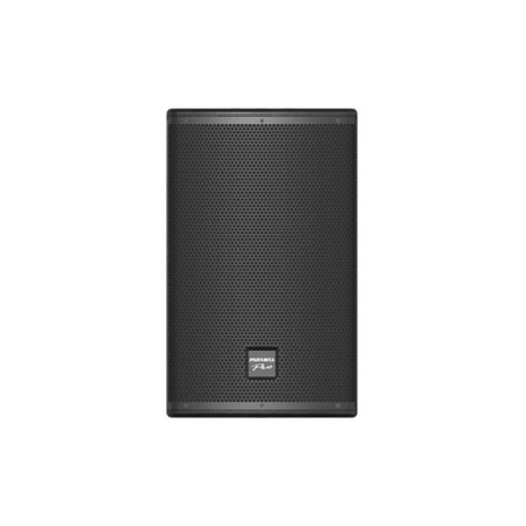 Loa full-range PARAMAX PRO-V40