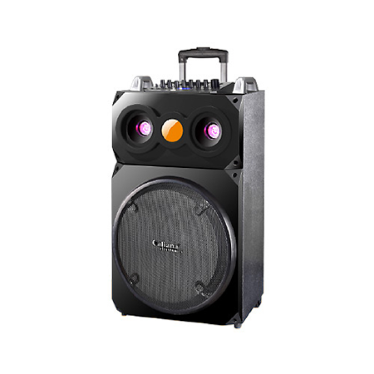 LOA KÉO DI ĐỘNG CALIANA WD-15