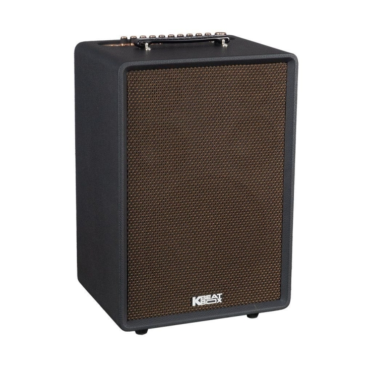 Loa Di Động ACNOS(KBEABOX) AURIS