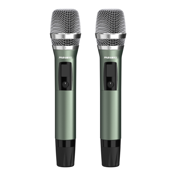 Amply 3 in 1 PARAMAX AX-1000