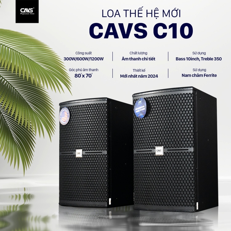 Loa CAVS C10