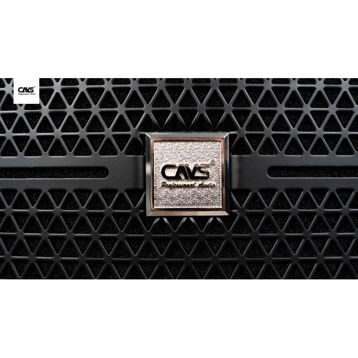 Loa CAVS C10