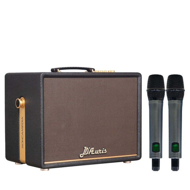 Loa Di Động Acnos D