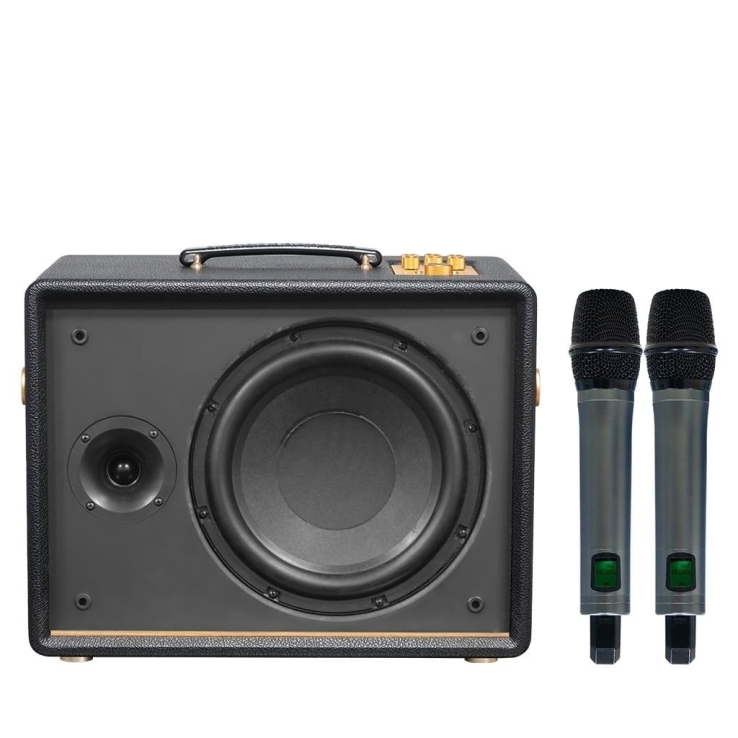 Loa Di Động Acnos D