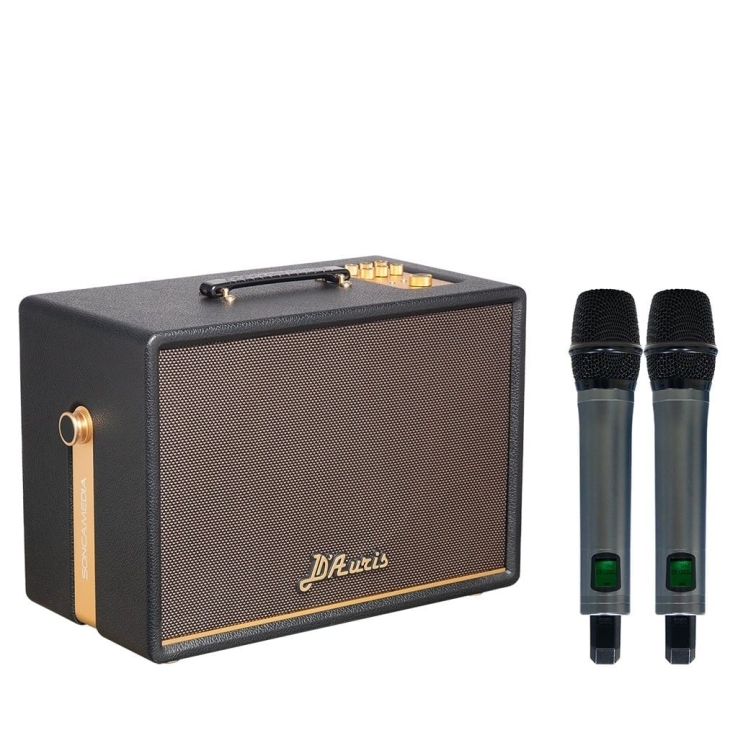 Loa Di Động Acnos D