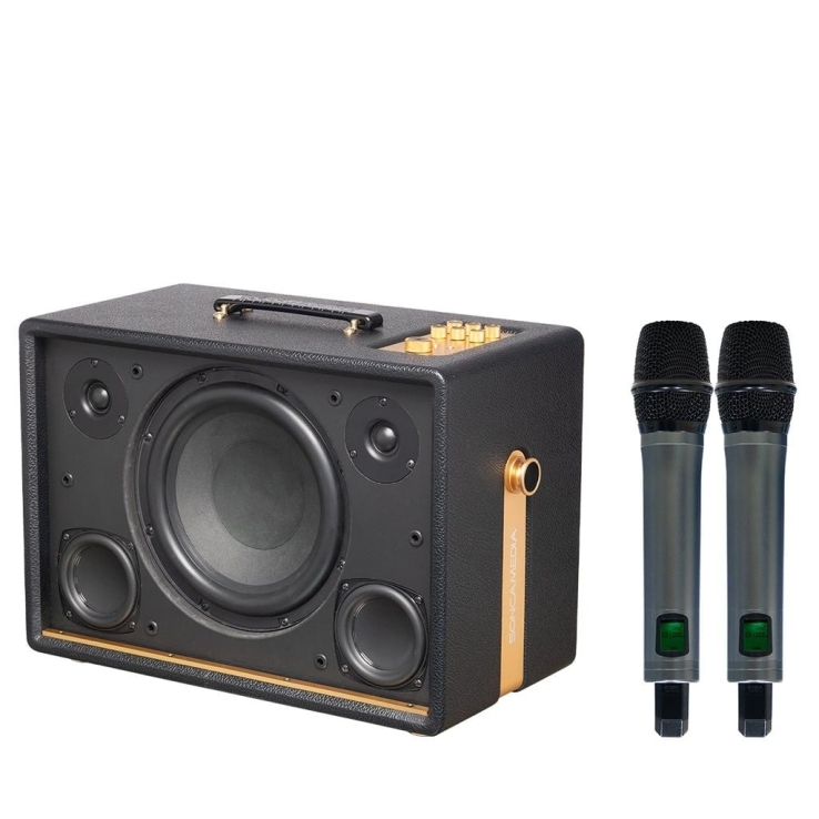 Loa Di Động Acnos D