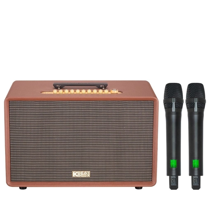 Loa Di Động Acnos FLAC 36 ULTIMATE