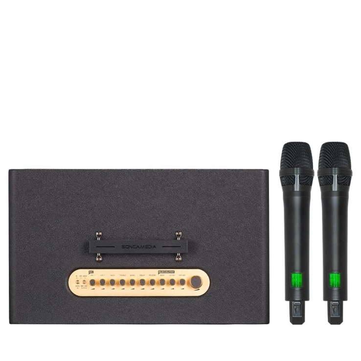 Loa Di Động Acnos FLAC39