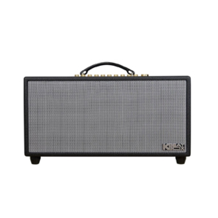 Loa  Di Động ACNOS Hi450