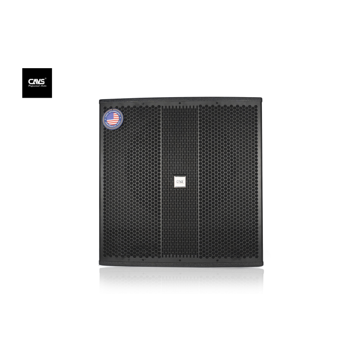 Loa Sub CAVS MX-118