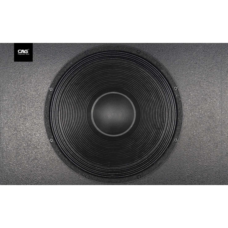 Loa Sub CAVS MX-118