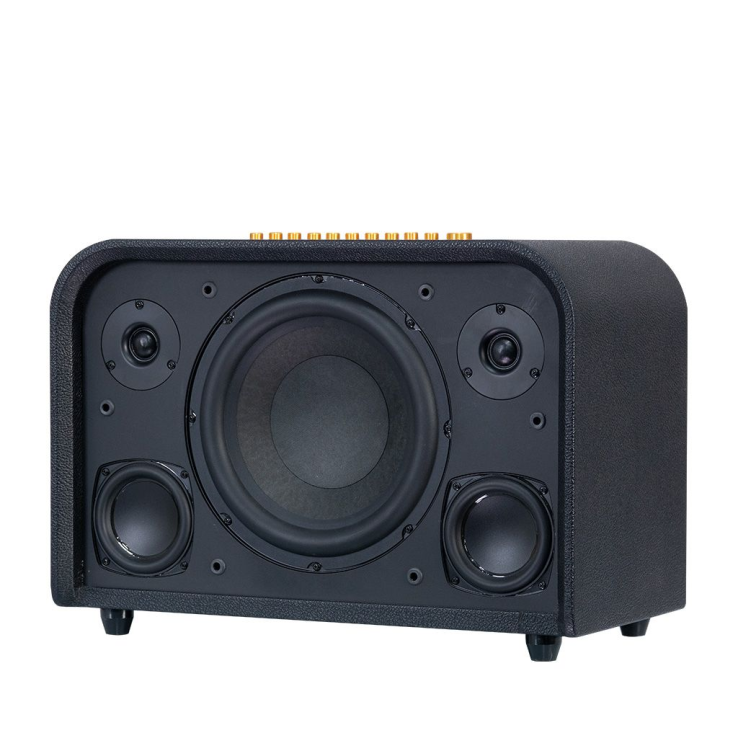 Loa ACNOS ACOUSTIC 3