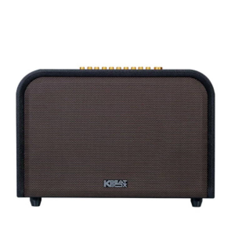 Loa ACNOS ACOUSTIC 3