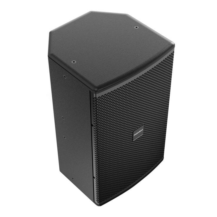 Loa Paramax PRO V30 (New)